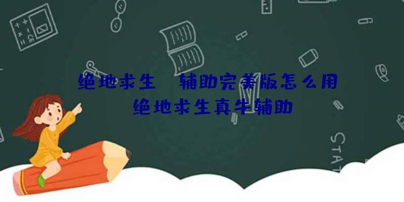 「绝地求生tp辅助完美版怎么用」|绝地求生真牛辅助